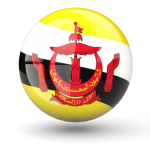 brunei flag icon